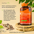 Nutravita - Ashwagandha with Bioperine 1100mg Fantastic Look Albania Tirana