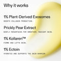 The INKEY List - Exosome Glow Serum Fantastic Look Albania Tirana