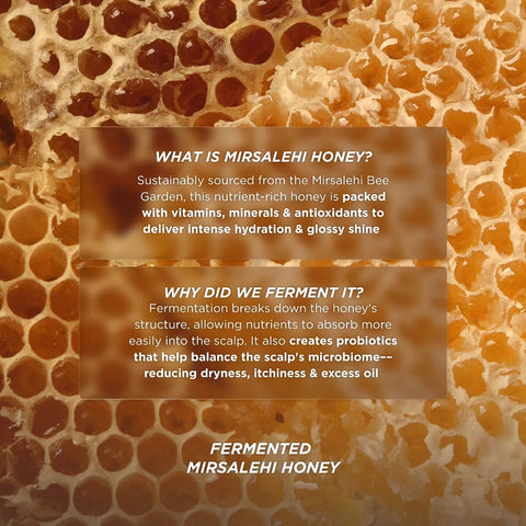 Gisou - Honey Gloss Ceramide Therapy Hydrating Conditioner 200ml Fantastic Look Albania Tirana