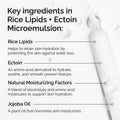 The Ordinary - Rice Lipids + Ectoin Microemulsion 60ml Fantastic Look Albania Tirana