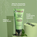 Mielle - Rosemary Mint Clarifying Sugar Scalp Scrub 170g Fantastic Look Albania Tirana